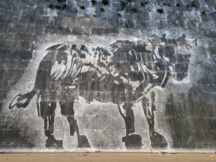 150025525-7ec3b07f-26f1-4ecd-9ae2-8b76274323a4