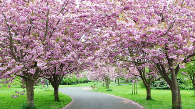 422368_465792648_big