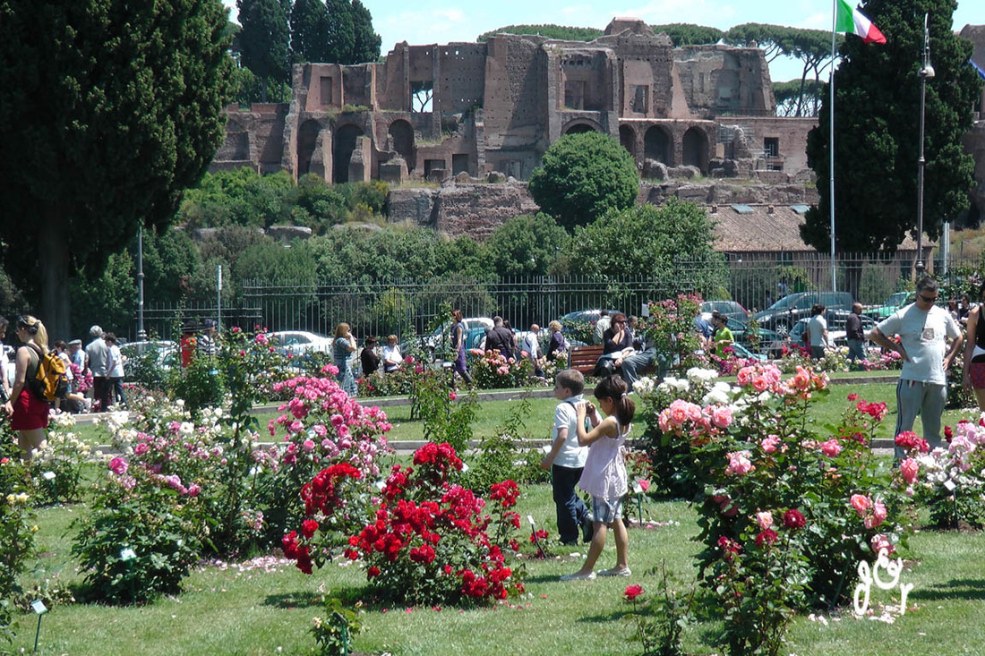 roseto-comunale-di-Roma-2
