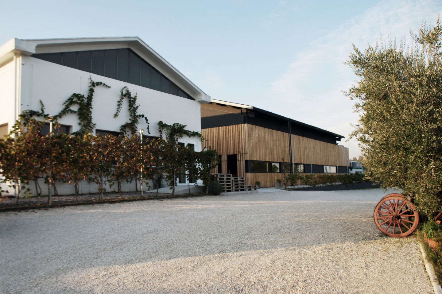 iafeiaqoqlcyfi5rgzx1