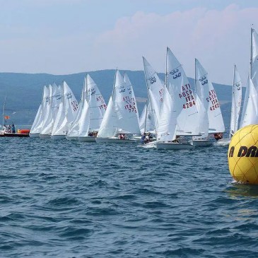 Tra le barche in regata - visita guidata sulla motonave Sabazia-Mondiale al Lago di Bracciano