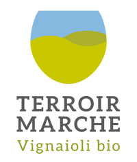 marchi settembre