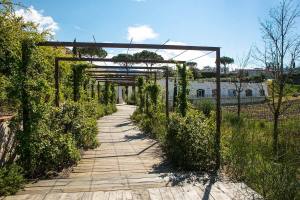 Barrique esterno - Poggio le Volpi