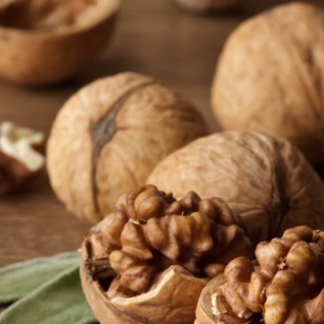 La noce il suo significato