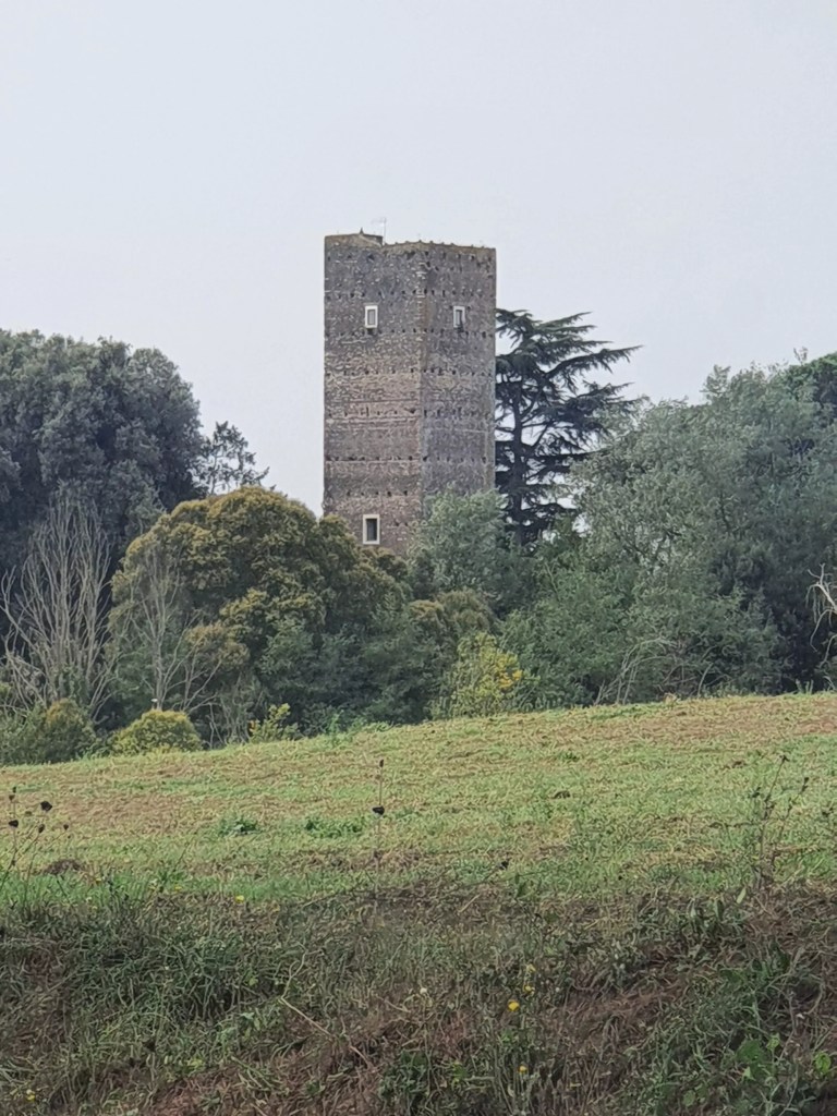 Torre delle cornacchie. Le torri medievali a Roma