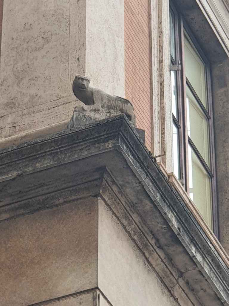 la gatta a palazzo grazioli
